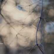 PAUL KENDALL – NEW ALBUM RELEASE